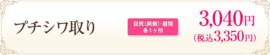 プチシワ取り[目尻（両側）･眉間各1ヶ所] トライアル 500円（税抜）
