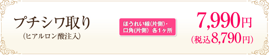 プチシワ取り（ヒアルロン酸注入）[ほうれい線（片側）・口角(片側）各1ヶ所] トライアル 500円（税抜）